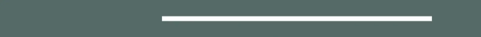  Annual Chief Security Officer Survey 2025 Cover