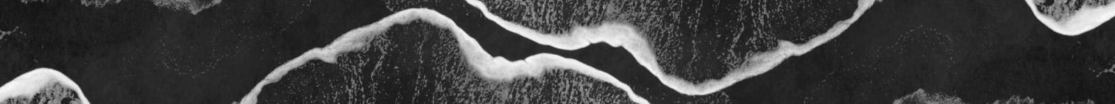 Black and white photograph of tree branches covered in snow creating horizontal wavy lines