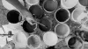 Overhead view of hands holding coffee cups in a circle, black and white photograph