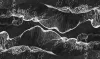 Black and white photograph of tree branches covered in snow creating horizontal wavy lines
