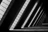 The Business Value of Corporate Security